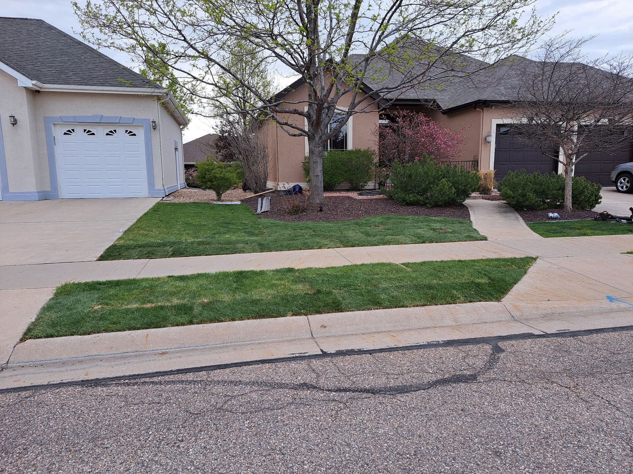 Residential front yard with manicured lawn, concrete driveway and landscape beds